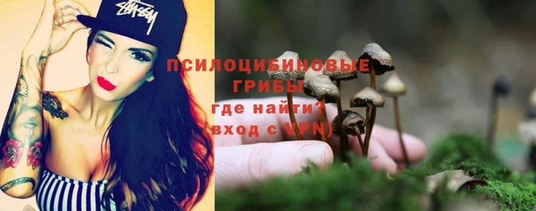 гидра Абинск