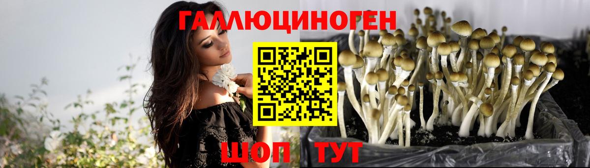 Нефтеюганск  Вход с VPN  Codein  Меф МЯУ МЯУ   Гашиш 